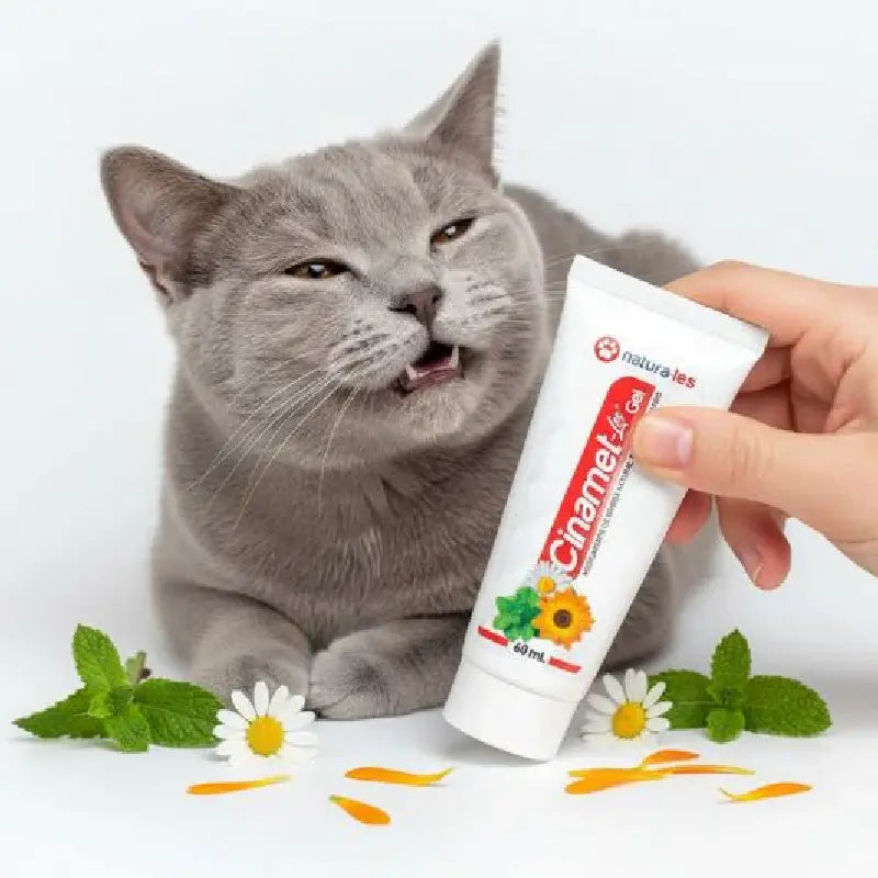 Gel Dental Cinamet Les 60 ml | Cuidado dental natural que transforma la salud de tu gato 🐱