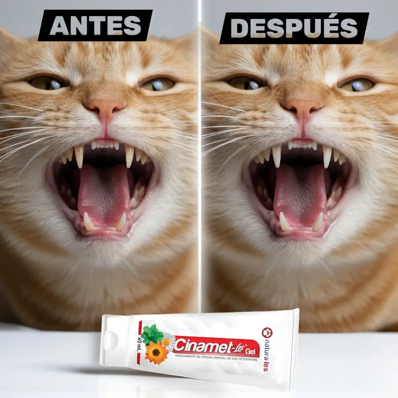 Gel Dental Cinamet Les 60 ml | Cuidado dental natural que transforma la salud de tu gato 🐱