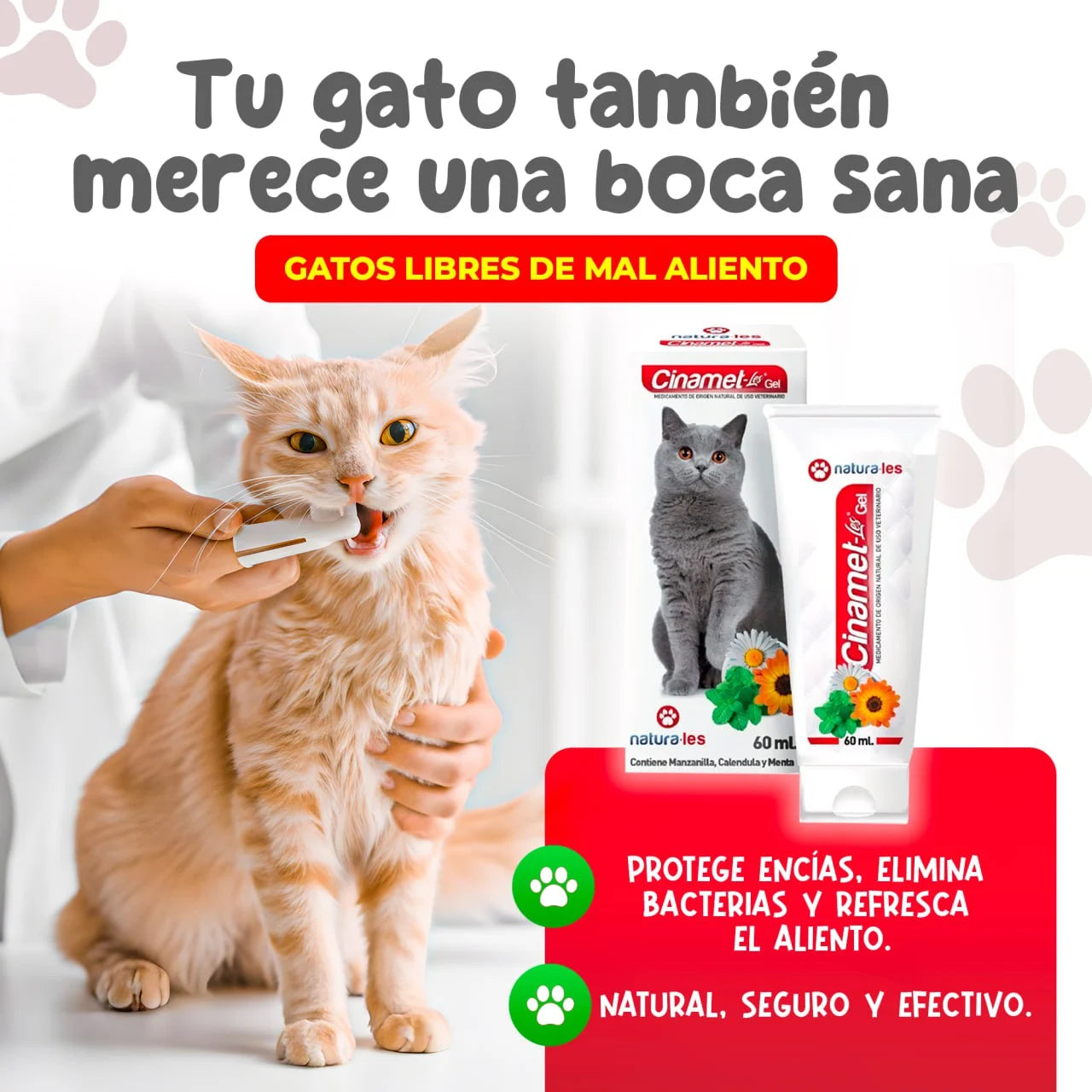 Gel Dental Cinamet Les 60 ml | Cuidado dental natural que transforma la salud de tu gato 🐱