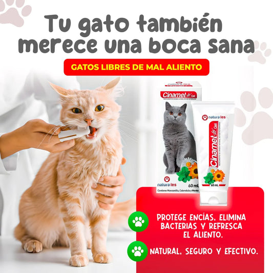 Gel Dental Cinamet Les 60 ml | Cuidado dental natural que transforma la salud de tu gato 🐱