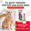 Gel Dental Cinamet Les 60 ml | Cuidado dental natural que transforma la salud de tu gato 🐱