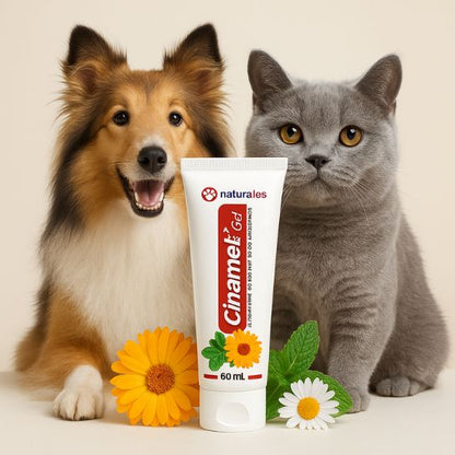 🐶😸 Gel Dental Cinamet Les 60 Ml | Higiene Bucal para perros y gatos