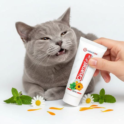 🐶😸 Gel Dental Cinamet Les 60 Ml | Higiene Bucal para perros y gatos