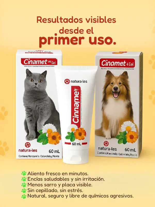 Gel Dental Mascotas – Frescura y protección en cada aplicación 💚