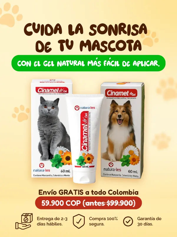 Gel Dental Mascotas – Frescura y protección en cada aplicación 💚