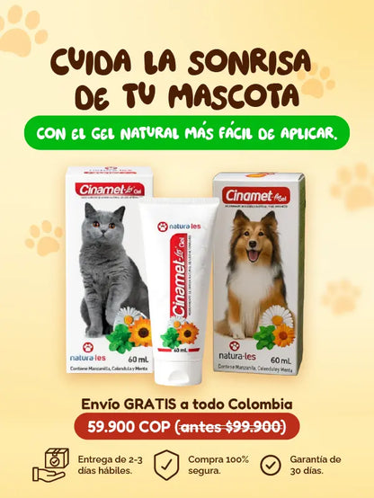 Gel Dental Mascotas – Frescura y protección en cada aplicación 💚