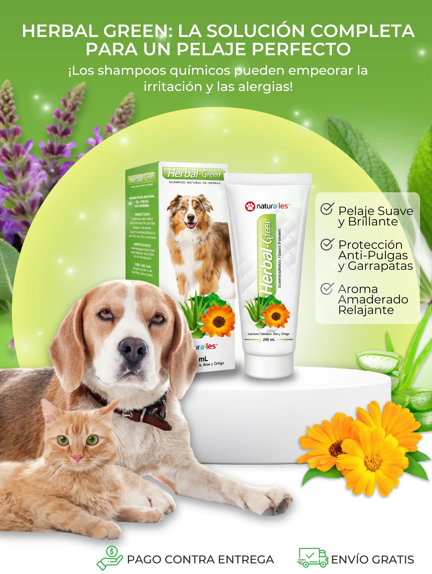 HERBAL GREEN -  SHAMPOO NATURAL DE USO VETERINARIO