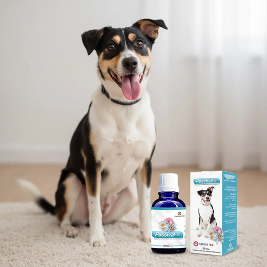 PASSIVAL-LES 30 ml | Relajante natural para perros y gatos nerviosos