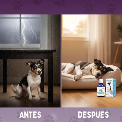 PASSIVAL-LES 30 ml | Relajante natural para perros y gatos nerviosos