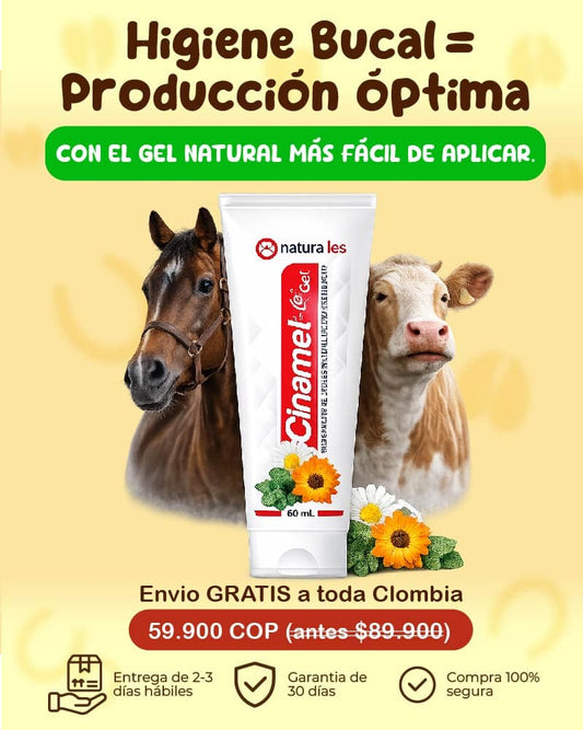 Gel Dental para ganado protección y salud en cada aplicación💚