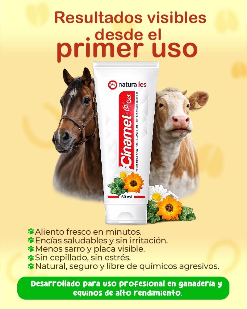 Gel Dental para ganado protección y salud en cada aplicación💚