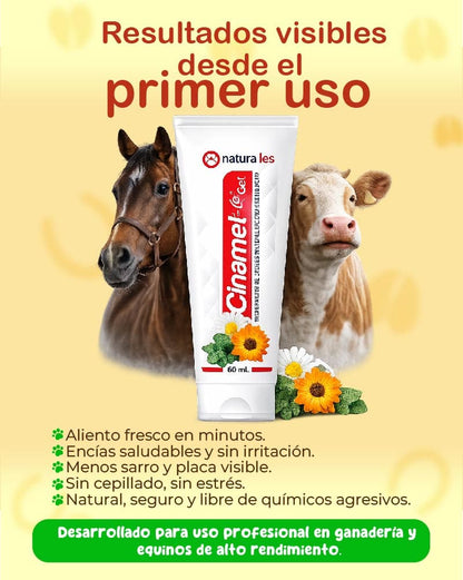 Gel Dental para ganado protección y salud en cada aplicación💚