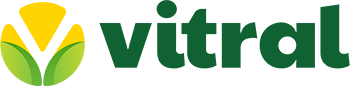 Vitral